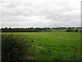 Grass field near Barford Bridge