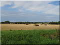 Stubble field with bales near Shadowbush Farm