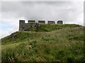 Path  up  to  Hume  Castle