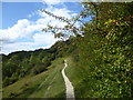 The scarp slope of the North Downs on Kemsing Down