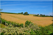 ST0441 : Washford : Countryside Scenery by Lewis Clarke