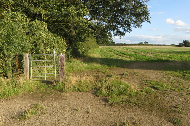 A gate on Knightley Way