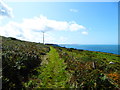 Footpath approaching Pwll Deri, Pembs