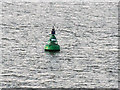 TQ7180 : Mucking No 1 Buoy, River Thames by David Dixon