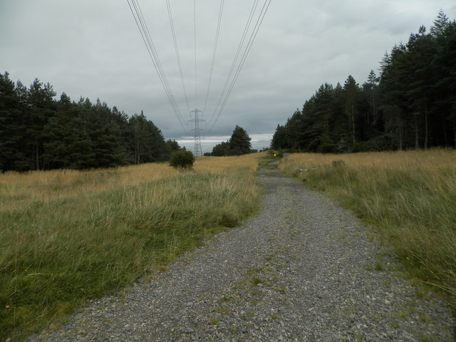 Track on edge of forest near Loch Ashie