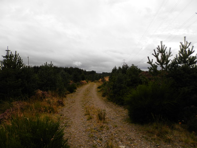 Track on western edge of Ashie Wood
