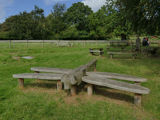 Temple Newsam farm - dragonfly bench