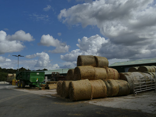 Temple Newsam farm - straw bales