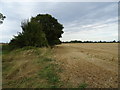 Stubble field beside Maywater Lane