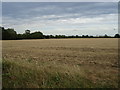 Farmland off Brockley Road