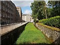 NS8842 : New Lanark Mills - The reed-filled lade and mill buildings by Rob Farrow