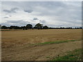 Stubble field, Harram Hill