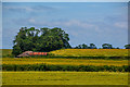 Old Cleeve : Grassy Field