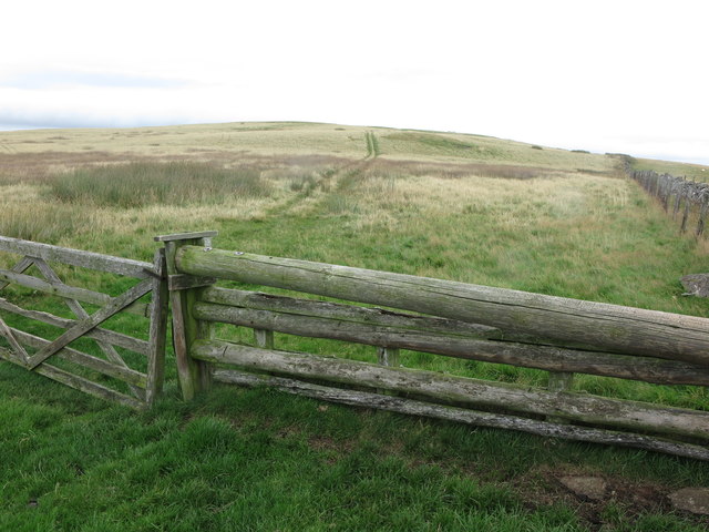 Boundary fence near Lumsden Hill