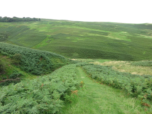Footpath to Middle Dean