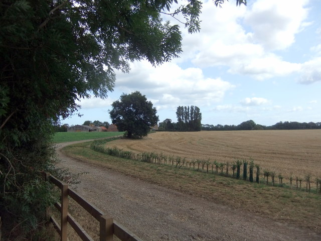 Looking towards Grange Farm