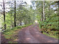 Track leading to Marine Scotland