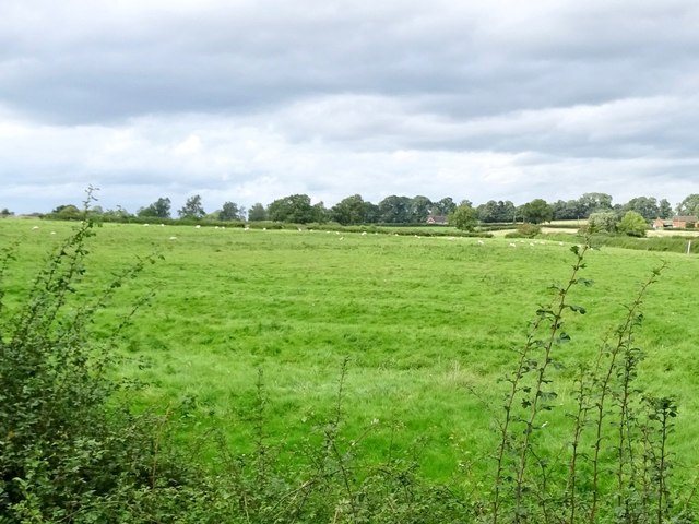 ridge-and-furrow-field-ian-calderwood-geograph-britain-and-ireland