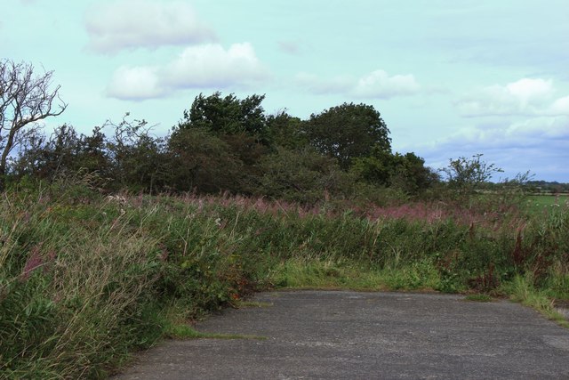 Overgrown Byway at Brunton Airfield