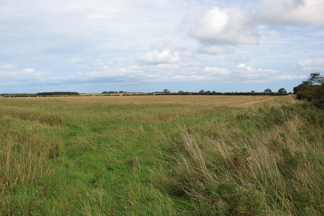 Arable land north west of Brunton Airfield