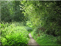 TQ0493 : Path north of Springwell Lane by Mike Quinn