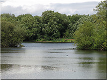 TQ0493 : Lake east of Springwell Lane (2) by Mike Quinn