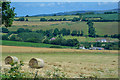 Nettlecombe : Countryside Scenery