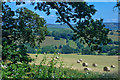 Nettlecombe : Countryside Scenery