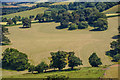 Nettlecombe : Countryside Scenery