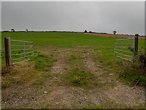 W5749 : Open gates to farmland by Neville Goodman
