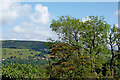 SJ9885 : View across the Goyt Valley near Danebank in Cheshire by Roger  D Kidd
