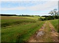 Track  into  fields  west  from  Burn  Wood