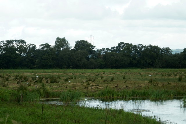 Catcott Heath © Mike Pennington cc-by-sa/2.0 :: Geograph Britain and ...