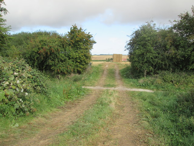 Track  from  harvested  field  crosses  Hudson  Way