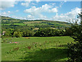 Cheshire pasture north-east of Disley