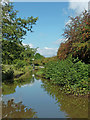 Upper Peak Canal north-east of High Lane in Cheshire