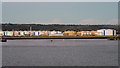TQ7782 : Storage Tanks, Canvey Island by David Dixon