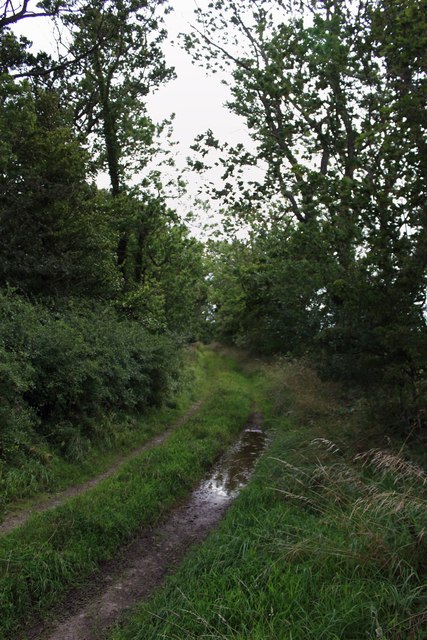 Farm track and byway