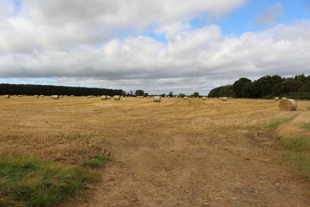 Arable land on Ely  Moor