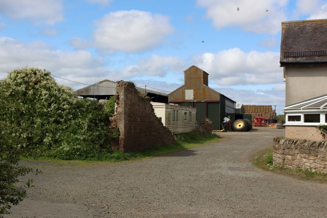The Farm, Chathill