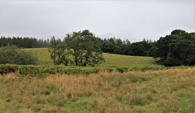 Pastureland at Braes of Greenock