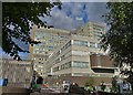 The Royal Hallamshire Hospital