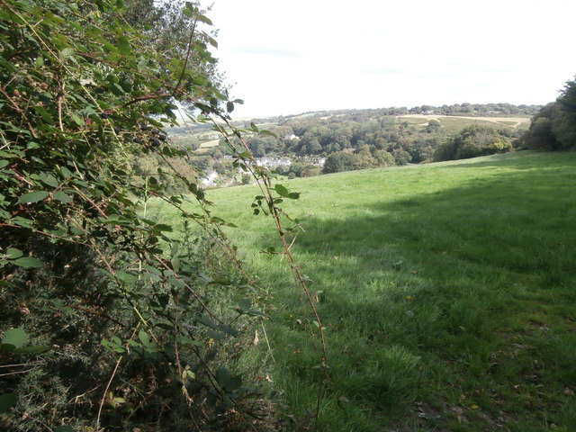 View from footpath near South Zeal