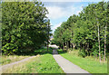 Two paths at Pelton Fell