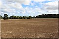 NU1725 : Arable field south of Ellingham School by Graham Robson