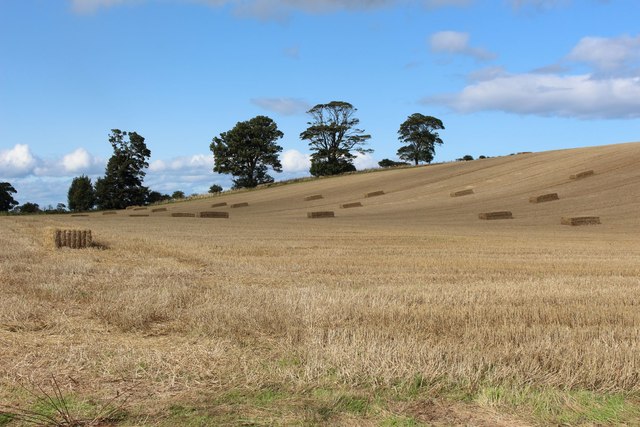 Arable field with straw bales