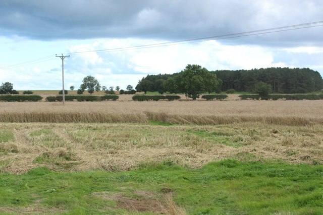 Arable field on the edge of Christon Bank