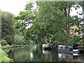 The Grand Union Canal by Lynsters Lake (3)