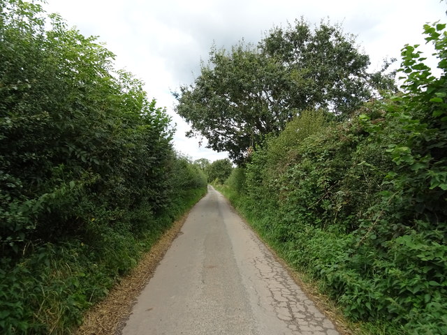 Lane towards Chatcull