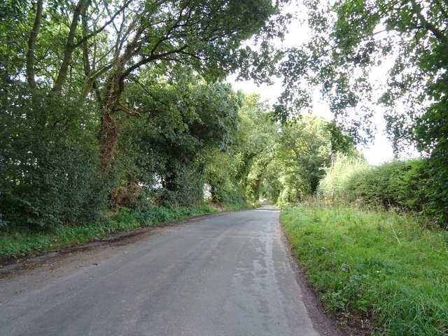 Minor road towards Almington © JThomas cc-by-sa/2.0 :: Geograph Britain ...